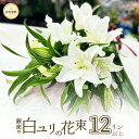 ユリ 花束 白 12輪 3本以上 送料無料 あす楽13時まで 銀座の白ユリ ゆり 百合 フラワー 花 お中元 2025 プレゼント ギフト 誕生日 お悔やみ お...
