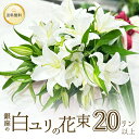 ボリュームたっぷり花束 銀座の白ユリ 花束 プレゼント 20輪 5本以上 送料無料 ゆり 百合 花 ギフト 誕生日 お悔やみ お供え 結婚記念日 豪華 大輪系 オリエンタル 白いユリの花束 20輪以上