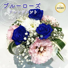 https://thumbnail.image.rakuten.co.jp/@0_mall/tokyoflower/cabinet/bluerose/bluerose3_top.jpg