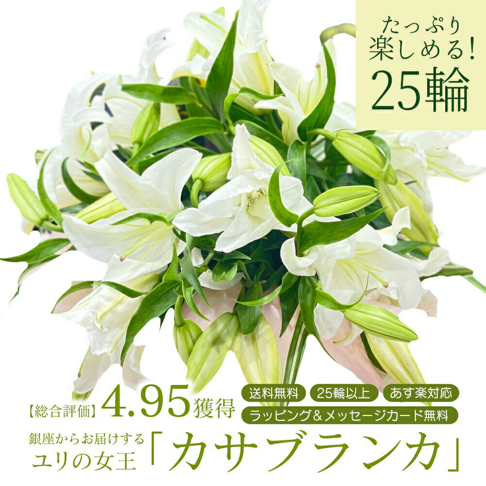 ユリ カサブランカ 花束 5本 25輪以上 あす楽13時まで 生花 白ユリの女王 銀座のカサブランカ 大輪白ユリ ほぼ蕾でお届け 即日出荷対応 土日も出荷 お届け日指定 送料無料 誕生日 父の日 2024 プレゼント ギフト 父 お祝い 贈り物