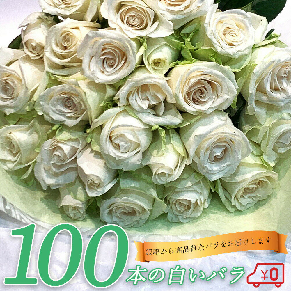 100本 20％OFF 白バラ100本の花束 東京銀座クオリティー プレゼント お祝い 記念日 父の日 2024 ギフト 送料無料 送料込み 税込 還暦 プロポーズ 誕生日 退職 還暦 【生花】