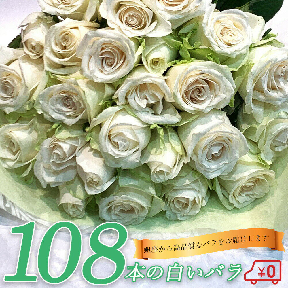 白バラ108本の花束 東京銀座クオリティー プレゼント お祝い 記念日 母の日 父の日 ギフト 送料無料 送料込み 税込 還暦 プロポーズ 誕生日 退職 還暦 【生花】