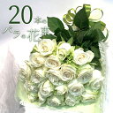 白バラ20本の花束 東京銀座クオリティー 白薔薇 ホワイトローズ 花 お中元 2025 花束 プレゼント お祝い 記念日 ギフト 楽天 送料無料 送料込み 税込...