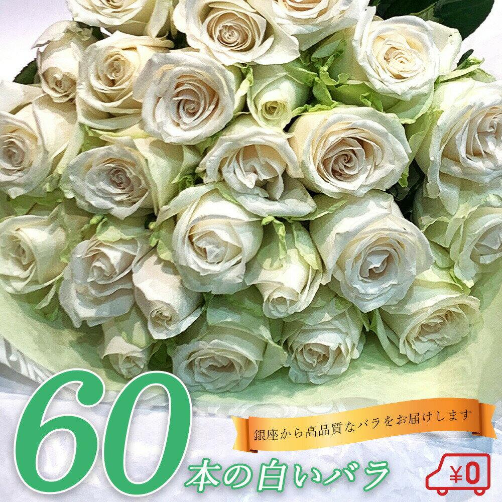 60本のバラ 白バラ60本の花束 東京銀座クオリティー プレゼント お祝い 記念日 ギフト 送料無料 送料込み 税込 還暦 プロポーズ 誕生日 退職 還暦 【生花】