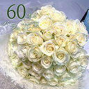 白バラ60本の花束 東京銀座クオリティー 白薔薇 ホワイトローズ 花 お中元 2025 花束 プレゼント お祝い 記念日 ギフト 5のつく日 送料無料 送料込み 税込 還暦 プロポーズ 誕生日 退職 還暦 【生花】 クール便選択可能