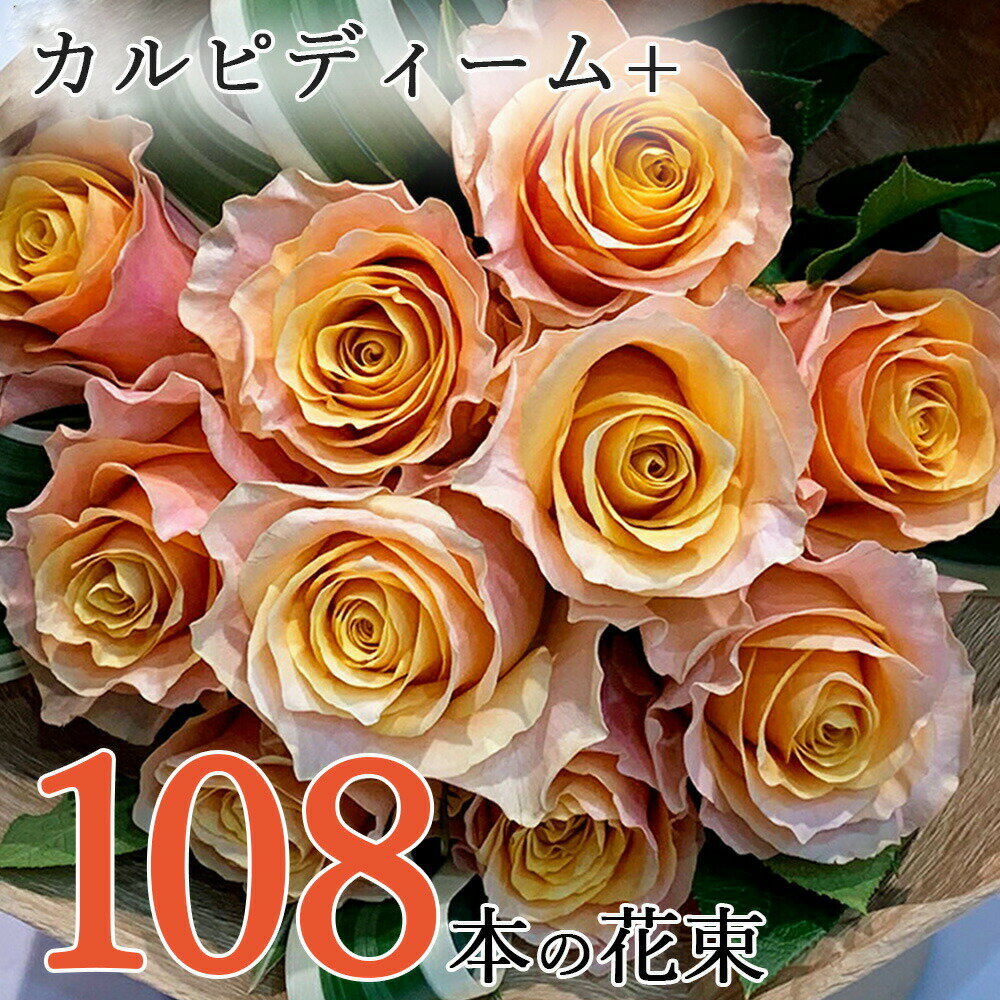 オレンジ オレンジ バラ 108本の花束 カルピディーム+ 送料無料 送料込み 銀座の橙バラ 薔薇 母の日 父の日 ギフト 花束 プレゼント 記念日 誕生日 お祝い 珍しい 豪華 生花 お祝 プロポーズ 結婚祝い 結婚 退職 長寿 金婚式 カルピデューム