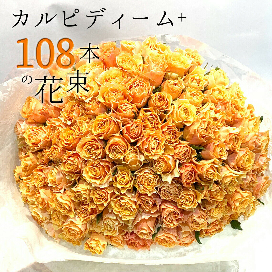 オレンジ オレンジ バラ 108本の花束 カルピディーム+ 送料無料 送料込み 銀座の橙バラ 薔薇 母の日 父の日 ギフト 花束 プレゼント 記念日 誕生日 お祝い 珍しい 豪華 生花 お祝 プロポーズ 結婚祝い 結婚 退職 長寿 金婚式 カルピデューム