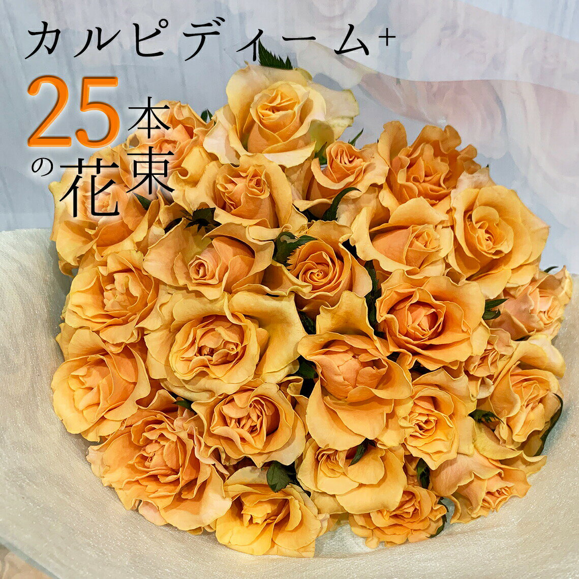 オレンジ オレンジ バラ 25本の花束 カルピディーム+ あす楽13時まで 送料無料 送料込み 銀座の橙バラ 薔薇 母の日 父の日 ギフト 花束 プレゼント 記念日 誕生日 お祝い 珍しい 豪華 生花 お祝 プロポーズ 結婚祝い 結婚 退職 長寿 金婚式