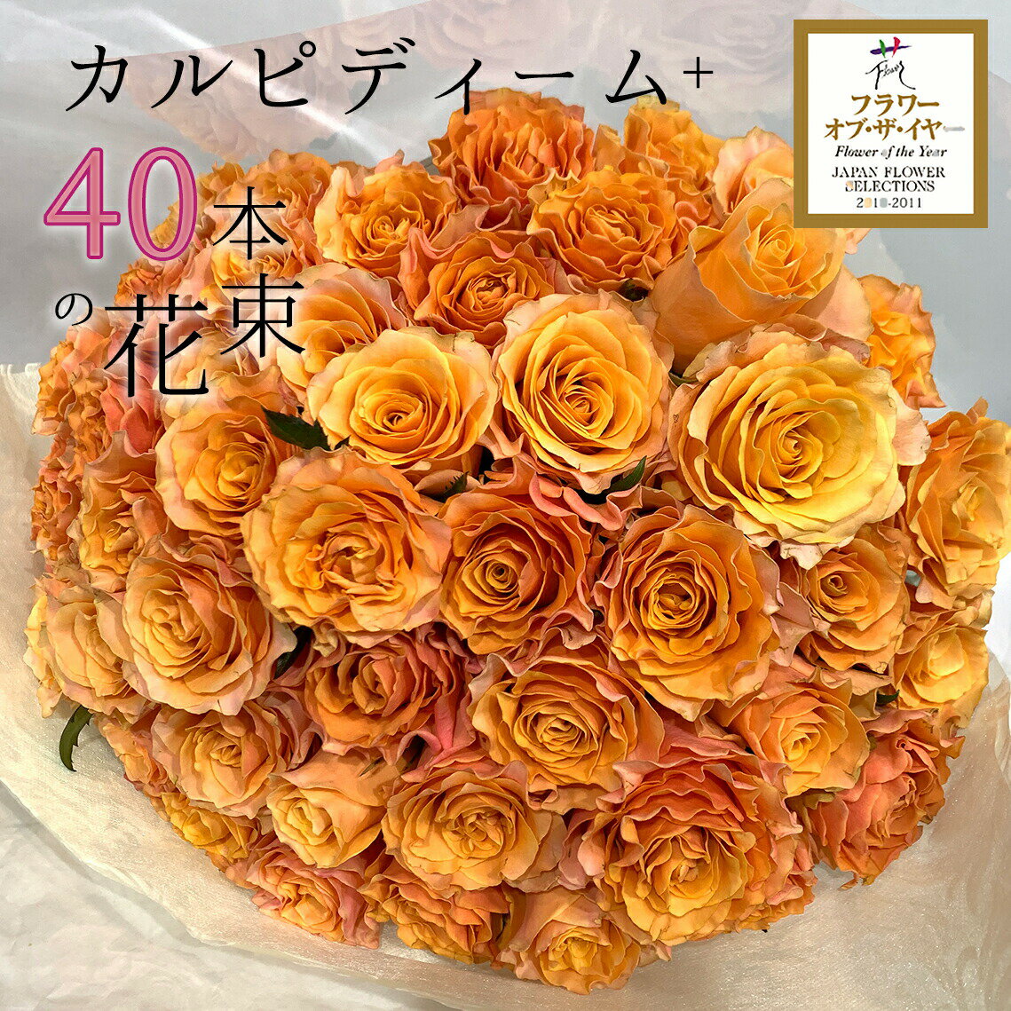 オレンジ オレンジ バラ 40本の花束 カルピディーム+ あす楽13時まで 送料無料 銀座の橙バラ 薔薇 父の日 2024 ギフト 花束 プレゼント 記念日 誕生日 お祝い 珍しい 豪華 生花 お祝 プロポーズ 結婚祝い 結婚 退職 長寿 金婚式 カルピデューム