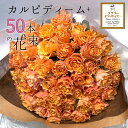 オレンジ オレンジ バラ 50本の花束 カルピディーム+ 送料無料 送料込み 銀座の橙バラ 薔薇 母の日 父の日 ギフト 花束 プレゼント 記念日 誕生日 お祝い 珍しい 豪華 生花 お祝 プロポーズ 結婚祝い 結婚 退職 長寿 金婚式 50周年