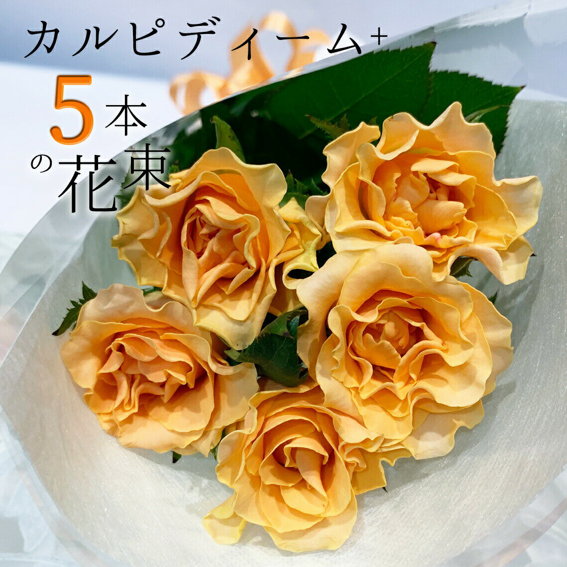 オレンジ オレンジ バラ 5本の花束 カルピディーム+ あす楽13時まで 送料無料 銀座の橙バラ 薔薇 父の日 2024 ギフト 花束 プレゼント 記念日 誕生日 お祝い 珍しい 豪華 生花 お祝 プロポーズ 結婚祝い 結婚 退職 長寿 金婚式 カルピデューム