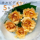 オレンジ バラ 5本の花束 カルピディーム+ あす楽13時まで 送料無料 銀座の橙バラ 薔薇 母の日 父の日 ギフト 花束 プレゼント 記念日 誕生日 お祝い 珍しい 豪華 生花 お祝 プロポーズ 結婚祝い 結婚 退職 長寿 金婚式 カルピデューム