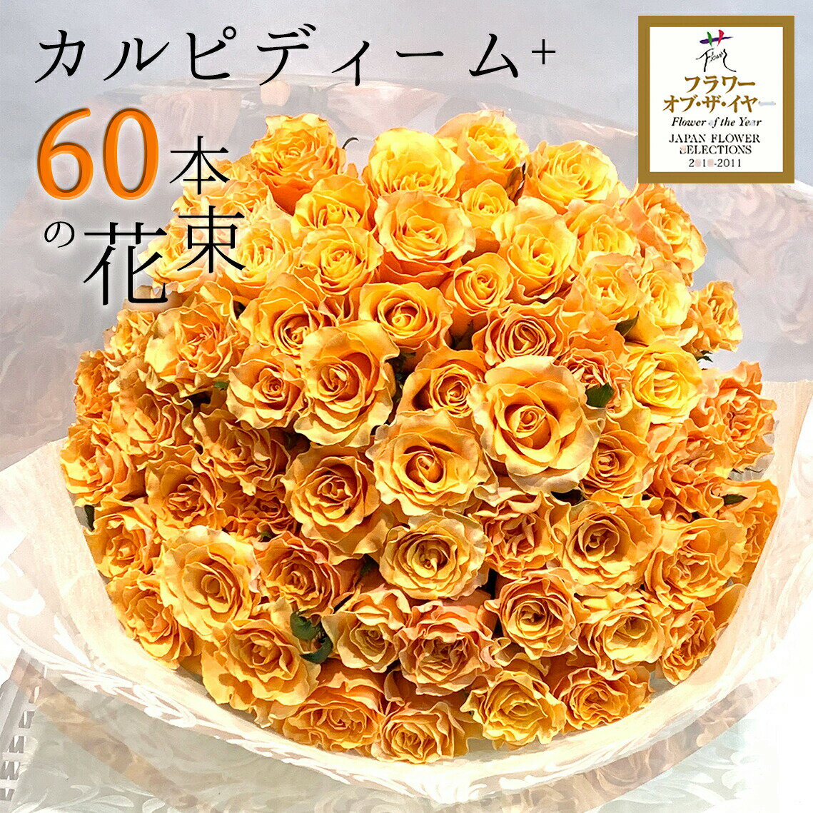 オレンジ オレンジ バラ 60本の花束 カルピディーム+ 送料無料 送料込み 銀座の橙バラ 薔薇 父の日 2024 ギフト 花束 プレゼント 記念日 誕生日 お祝い 珍しい 豪華 生花 お祝 プロポーズ 結婚祝い 結婚 退職 還暦 長寿 金婚式 カルピデューム