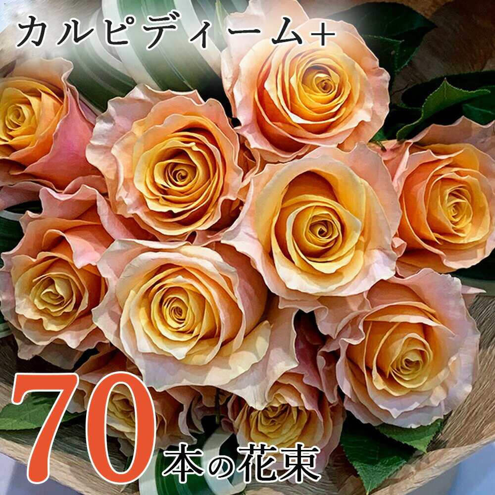 オレンジ オレンジ バラ 70本の花束 カルピディーム+ 送料無料 送料込み 銀座の橙バラ 薔薇 母の日 父の日 ギフト 花束 プレゼント 記念日 誕生日 お祝い 珍しい 豪華 生花 お祝 プロポーズ 結婚祝い 結婚 退職 長寿 金婚式 カルピデューム