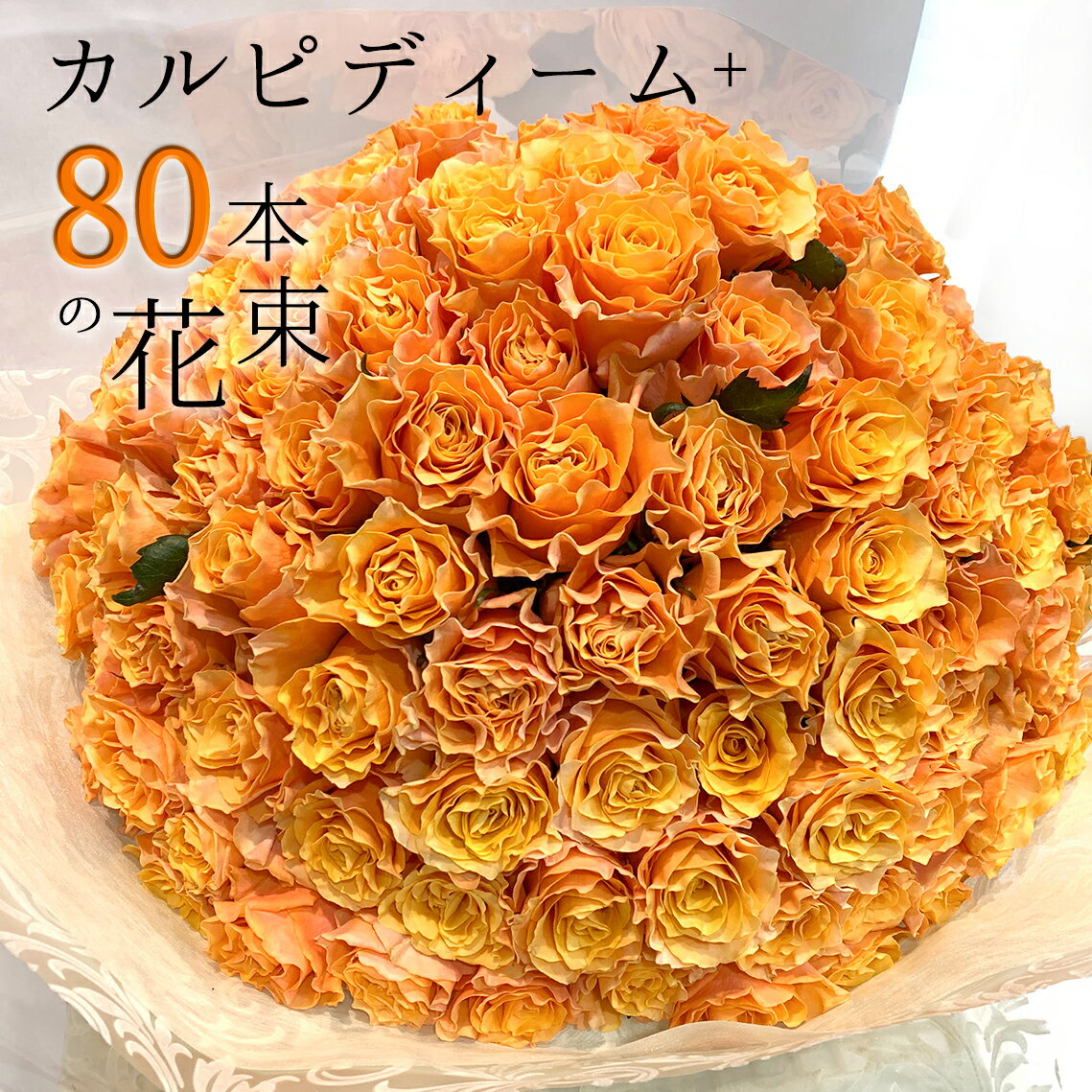 オレンジ オレンジ バラ 80本の花束 カルピディーム+ 送料無料 送料込み 銀座の橙バラ 薔薇 母の日 父の日 ギフト 花束 プレゼント 記念日 誕生日 お祝い 珍しい 豪華 生花 お祝 プロポーズ 結婚祝い 結婚 退職 長寿 金婚式 カルピデューム