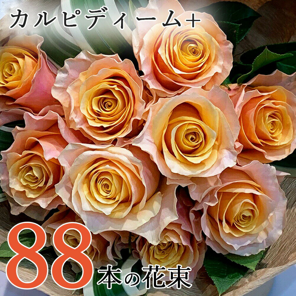 オレンジ オレンジ バラ 88本の花束 カルピディーム+ 送料無料 送料込み 銀座の橙バラ 薔薇 父の日 2024 ギフト 花束 プレゼント 記念日 誕生日 お祝い 珍しい 豪華 生花 お祝 プロポーズ 結婚祝い 結婚 退職 長寿 金婚式 カルピデューム