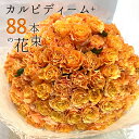 オレンジ バラ 88本の花束 カルピディーム+ 送料無料 送料込み 銀座の橙バラ 薔薇 ギフト 花 お中元 2025 花束 プレゼント 記念日 誕生日 お祝い ...