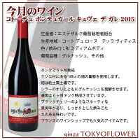 今月のワインセットチューリップ5号鉢とコトーデュポンデュガールキュヴェデガレ2015