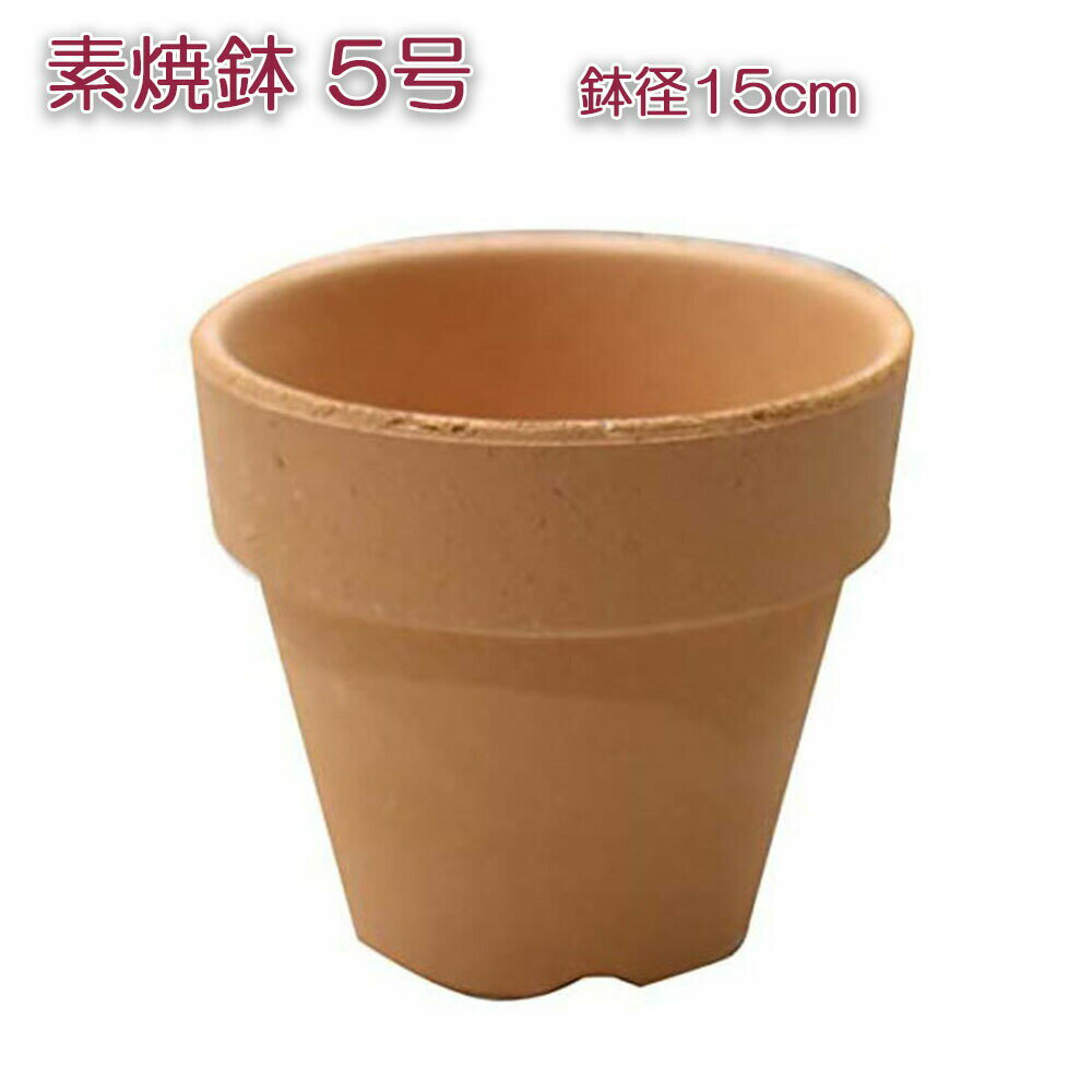 植木鉢 素焼き 陶器 5号 鉢径15cm 鉢底穴あり インテリア 植物用の植木鉢 ポット 植え替え