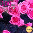 100本 ブラック アンド ピンク バラ束 100本 送料無料 花束 薔薇 プレゼント お祝い 記念日 ギフト プロポーズ 誕生日 母の日 父の日 退職 【生花】 結婚祝い 結婚 長寿 金婚式 妻 奥さん 嫁 母 ママ 恋人 ヴィジュアル ライブ 楽屋花 コンサート 黒薔薇