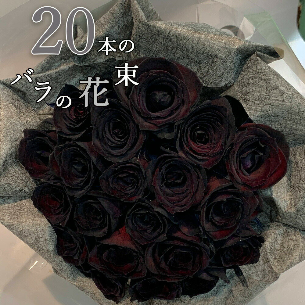 黒いバラ20本の花束 ブラックローズ 薔薇 花束 プレゼント 花言葉 「神秘」 「永遠の愛」 母の日 父の日 お祝い 記念日 ギフト プロポーズ 誕生日 退職 【生花】 お祝 結婚 祝い 長寿 金婚式 妻 奥さん 嫁 母 ママ 恋人 ライブ 楽屋花 コンサート 黒薔薇