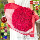 1本よりご注文可 銀座のバラ 赤 ピンク 紫 オレンジ 黄 花 お中元 2025 花束 生花 薔薇 ばら プレゼント ギフト 送料別 3980円以上で送料無料 ...