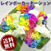 【母の日】レインボーカーネーションアレンジメント送料無料楽ギフ_包装楽ギフ_メッセ入力smtb-smsop