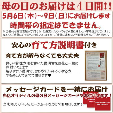 母の日 贈答 早割 銀座の紫陽花 アジサイ 万華鏡 青 5号鉢 鉢植え ギフト 送料無料 沖縄+1000円