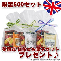 母の日ギフト早割銀座のカーネーション5号鉢母の日限定フラワーギフト2017花鉢Mother's_Day送料無料smtb-s母の日ギフトは銀座東京フラワー
