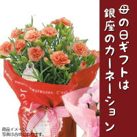 【限定紅茶セット付】早割終了後3999円母の日銀座のカーネーション5号鉢品種おまかせ母の日ギフト沖縄配送不可母の日限定フラワーギフト2019花鉢Mother's_Day送料無料母の日ギフトは銀座東京フラワーお菓子プレゼントギフト