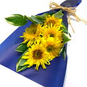 銀座のヒマワリ 5本とグリーンの花束 お買い物マラソン 送料無料 七夕 花 2025 花束 切花 【生花】 ギフト プレゼント 元気 フレッシュ 黄色 感謝 お祝い 向日葵 お中元 お盆 帰省 手土産 お土産 夏 限定 涼しい ラッピング 花言葉 憧れ 高貴 クール便選択可能
