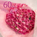 ピンクバラ 60本の花束 楽天 お買い物マラソン 送料無料 送料込み ピンクローズ ピンク バラ花束 バラ 花 敬老の日 2025 薔薇 プレゼント お祝い 記念日 ギフト 税込 還暦 プロポーズ 誕生日 退職 還暦 【生花】 お祝 結婚祝い 結婚 長寿 金婚式 クール便選択可能
