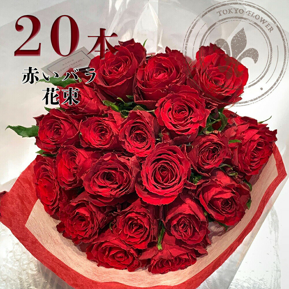 赤バラ20本の花束 赤バラ 花束 あす