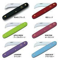 【風鈴付き】銀座のほおずき鉢花5号約15cmカゴ付き季節の花鉢H50-60cmW30cm