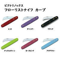 【風鈴付き】銀座のほおずき鉢花5号約15cmカゴ付き季節の花鉢H50-60cmW30cm