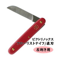 【風鈴付き】銀座のほおずき鉢花5号約15cmカゴ付き季節の花鉢H50-60cmW30cm