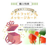 【風鈴付き】銀座のほおずき鉢花5号約15cmカゴ付き季節の花鉢H50-60cmW30cm