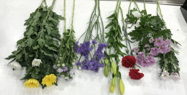 土日出荷 お供え 生花 アレンジメント 花束 お墓参り 法事法要 お供え花用 お供え お悔やみ 仏事 法事 命日 一周忌
