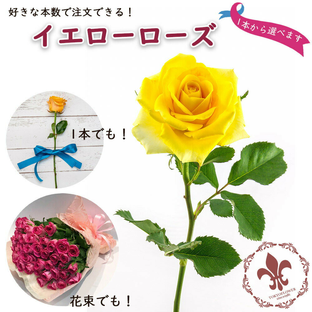 黄 20％OFF 黄色バラの花束 イエローローズ 【1本よりご注文可】 送料別 5本以上で送料無料 銀座の黄色い バラ 花束 生花 薔薇 黄バラ 父の日 2024 プレゼント ギフト 誕生日 記念日 退職 長寿