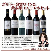 ワインセットボルドー金賞受賞ワインソムリエ厳選おすすめ6本赤ワインセット送料別飲み比べ高コスパ
