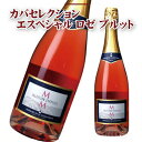 カヴァ ロゼ マス デ モニストロル カバ セレクション エスペシャル ロゼ ブルット 750ml【箱なし】 送料別 シャンパン ヴァンムスー 酒 メーカー直送 母の日 父の日 ギフト プレゼント