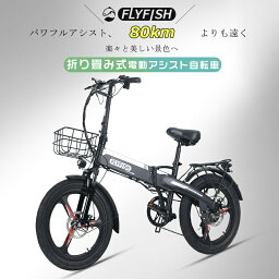 電動アシスト自転車 20インチ 折り畳み自転車 シマノ 電動 アシスト 自転車 ファットバイク 20インチ オシャレ 自転車 街乗り 軽量自転車 ミニベロ カゴ付き 電動アシスト Eバイク FATBIKE 電動アシスト自転車 20インチ 軽量 折りたたみ自転車 一年保証 ギフト 女性