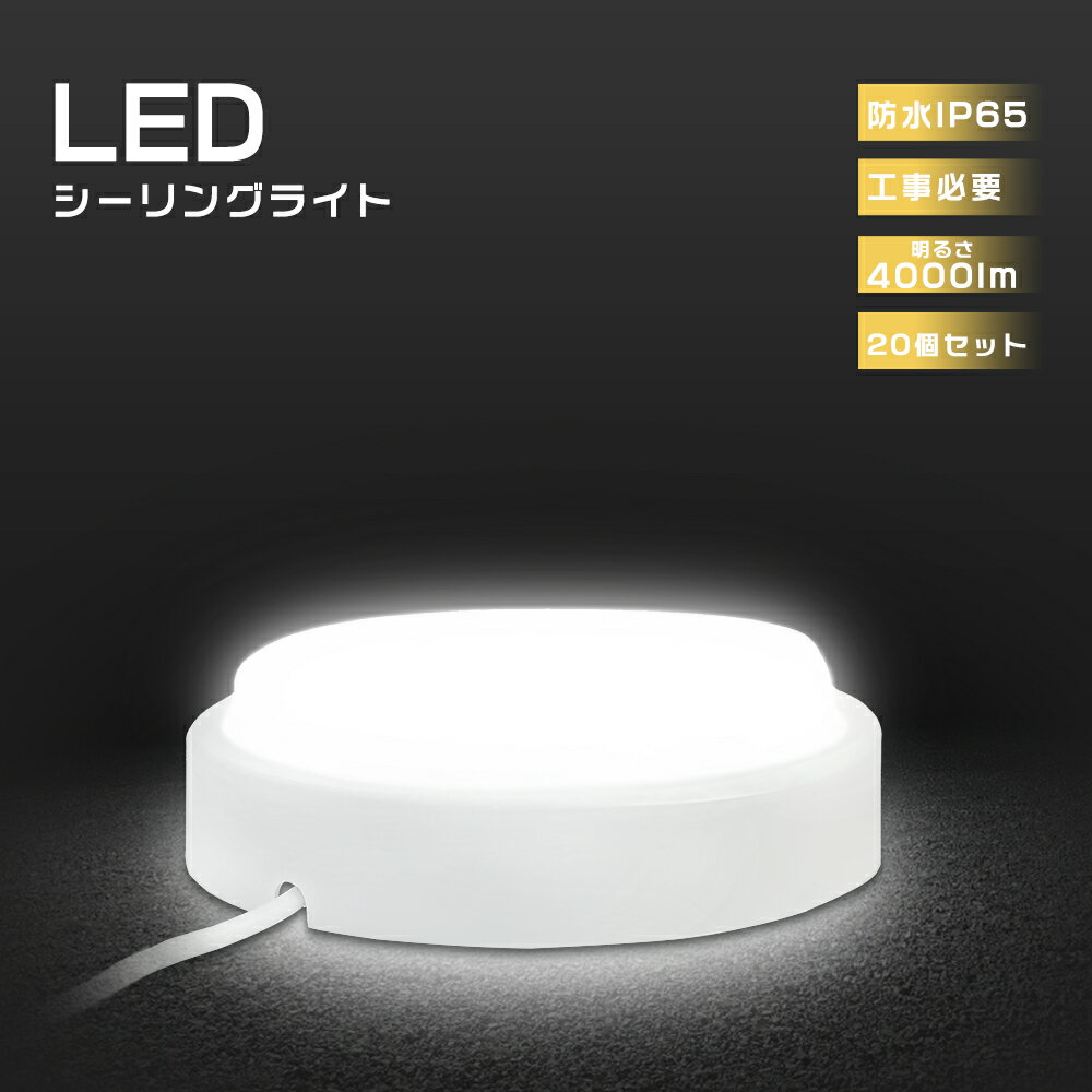 20ĥå LED󥰥饤 ɿ 20W 󥰥饤 LED 6 LED󥰥饤 8 LED󥰥饤 ...