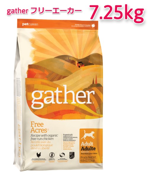 GATHER@t[G[J[@7.25kg