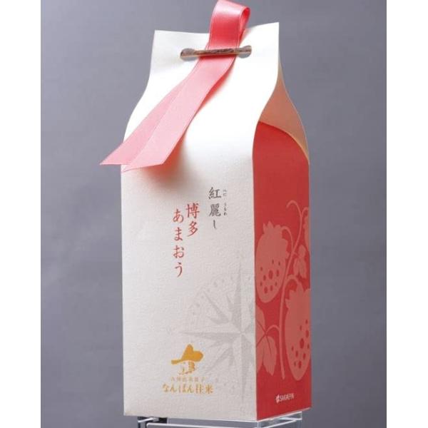 お歳暮 博多阪急限定 なんばん往来 博多あまおう 紅麗し 2個入り
