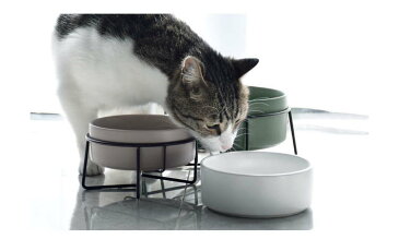 スタンド付き 陶器製 フードボウル スチールスタンド シンプル 安定感 セラミック ペット用 猫 ネコ 犬 食器 エサ入れ 動物 お皿 餌入れ 水入れ ペット皿 食台 容器 CW085