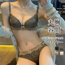 ブラジャー&ショーツセット 谷間 盛れる 美胸 美背 脇高 レース 上品 女性 総レース 谷間 盛れる ノンワイヤー バストアップ 補正 ブラジャー ショーツ ブラショーツ 小胸 インナー NY-020-Lion