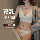 ブラジャーセット ブラ&ショーツ ノンワイヤー 美胸 美背 脇高 レディース セクシー レース 谷間 盛れる 育乳 バストアップ 補正 ブラジャー ショーツ ランジェリー インナー NY-039(4)