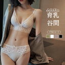 ブラショーツ 総レース ノンワイヤー 美胸 美背 脇高 レースブラ 谷間 盛れる レディース セクシー バストアップ 補正 育乳 ホックなし ブラジャー ショーツ ランジェリー インナー バッククロス 薄型パッド NY-061