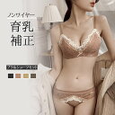 ブラジャー ブラ&ショーツ 美胸 美背 脇高 レース 谷間 盛れる レディース ノンワイヤー 育乳 バストアップ 補正 ブラジャー ショーツ ブラショーツ ランジェリー インナー NY-064